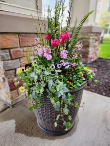 Spring Seasonal Planter in Waukesha Wi at the entrance of a Senior Living Community