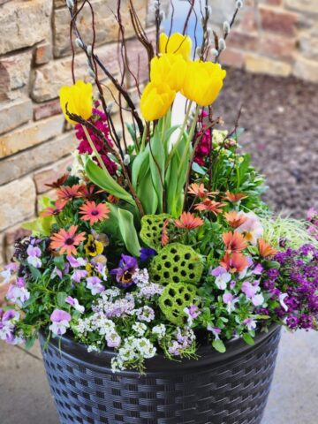 Spring Planter at Senior Living Community Entrance in Franklin WI