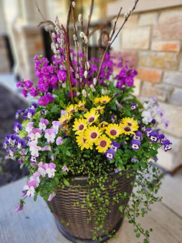 Spring Planter in May in Waukesha, WI