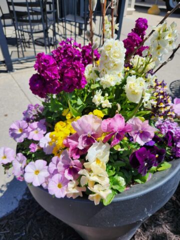 Spring Flower planter on Pewaukee Lake, WI in May