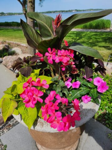 Summer season combination planter at residence in Pewaukee, WI