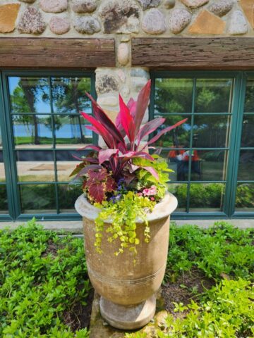 Summer Planter in Landscape bed at home in Pewaukee, WI