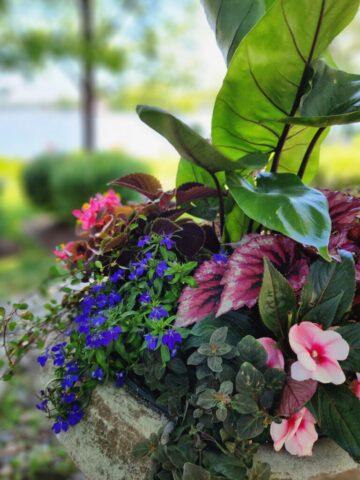 Summer Flower Shade Planter Lakeside in Pewaukee, WI