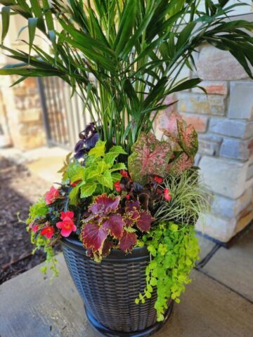 Outdoor Summer Planter at Business in Waukesha, WI