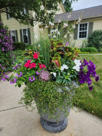 Residential outdoor planter in Brookfield, WI Summer Season