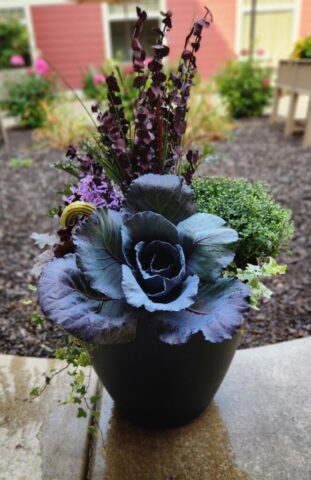 Senior Living Community in Waukesha, WI fall planter in courtyard