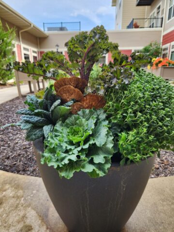 Senior Living Community in Waukesha, WI fall planter in courtyard