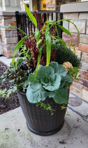 Fall planter at front entrance at Waukesha, WI business