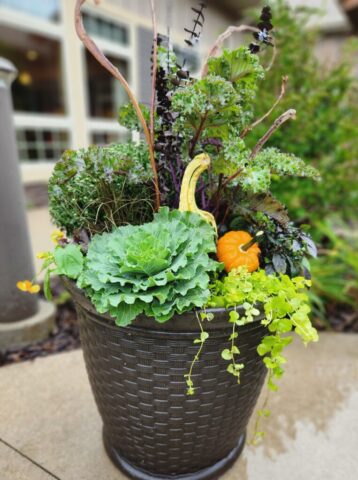 Fall planter in Waukesha, WI