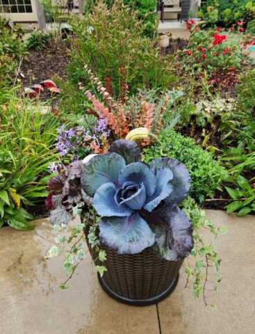 Fall planter at a senior living community in Franklin, WI business