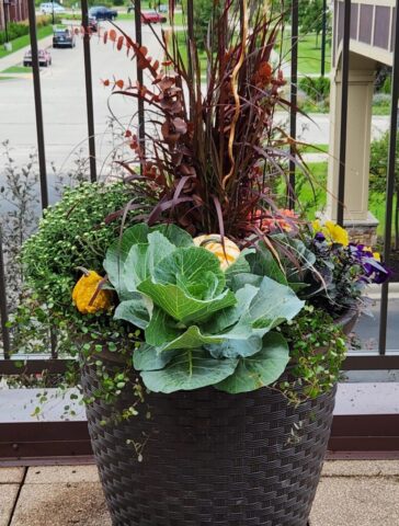 Fall Seasonal planter on upper deck of Frankin, WI senior living community