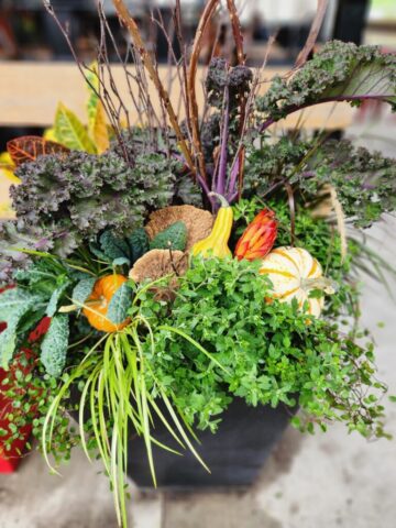Fall patio planter custom designed for business in Brookfield, WI