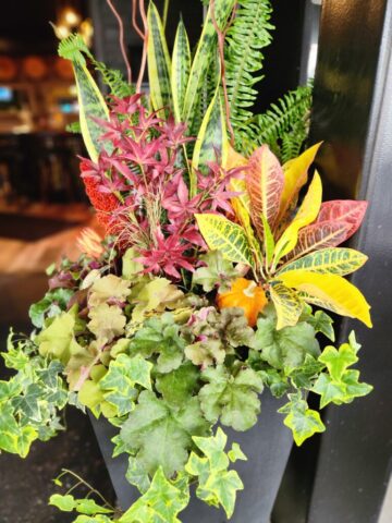 Fall patio planter custom designed for business in Brookfield, WI