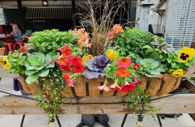 Fall railing planter at Brookfield, WI Bar and Grill