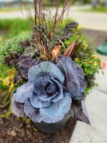 Pewaukee Lake business with fall planter along the sidewalk (Pewaukee, WI)