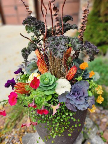 Front walkway of home in Pewaukee WI custom planter planted for fall