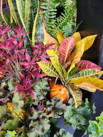 Fall planter at Brookfield, WI Small Business