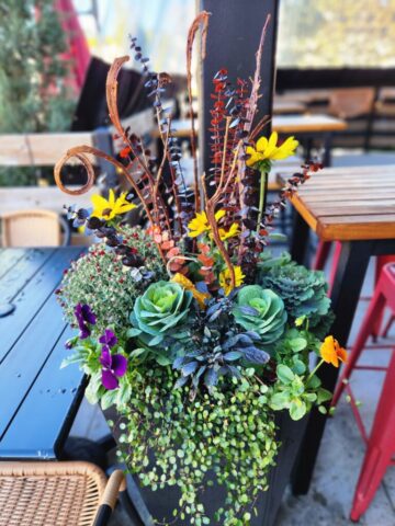 Brookfield, WI Restaurant Patio Fall Planter