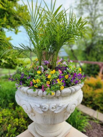 Summer Planting in Stone Urn in Waukesha, WI