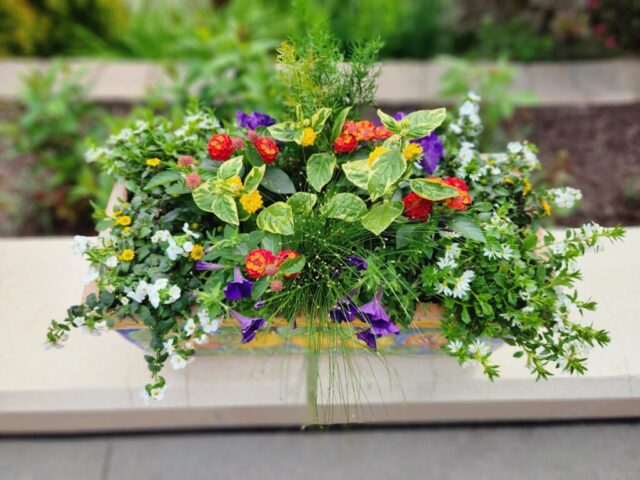 Small sun planter on patio in Waukesha, WI