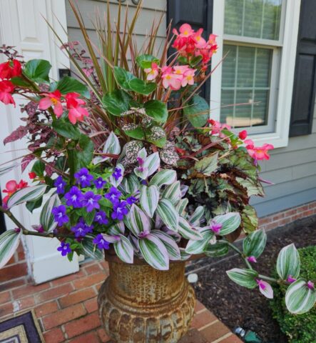 Summer Shade Loving Combination Planter in Brookfield, WI Mid-season