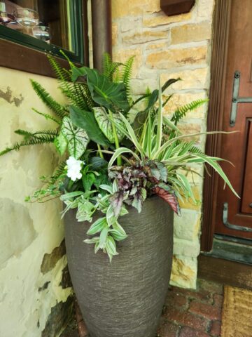 Shady porch planter on planting day in Pewaukee, WI