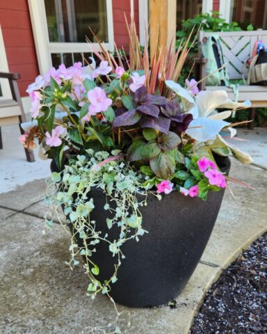 Self-watering planter with summer flowers in Waukesha, WI