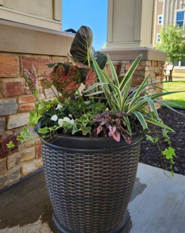 Summer Entrance Planter Senior Living Community in Waukesha, WI on planting day