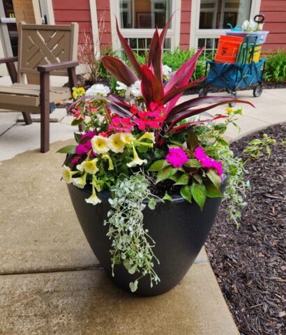 Summer Flower Planter on planting day in Waukesha WI