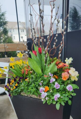 Tall Planter with Spring Plantings in Brookfield, WI