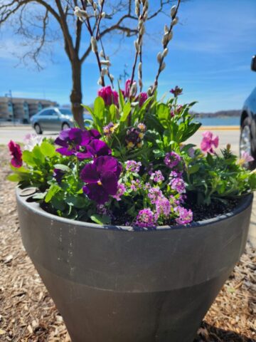 Spring Flower planter on Pewaukee Lake, WI