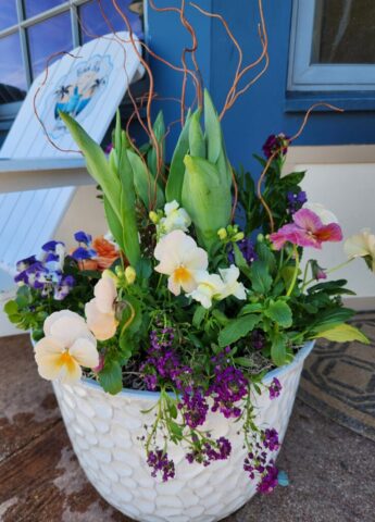 Spring Flowers in planter Pewaukee, WI