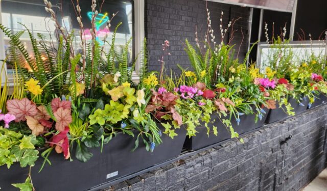 Spring Flowers planted in railing planters in Brookfield, WI