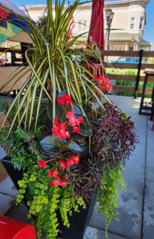 Custom Summer Patio Planter in Brookfield, WI