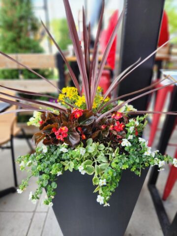 Outdoor summer planter Brookfield, WI Patio
