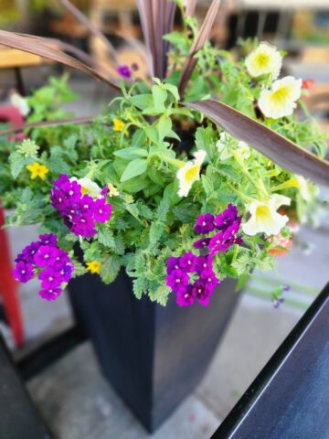 Tall outdoor planter planted for summer in Brookfield, WI